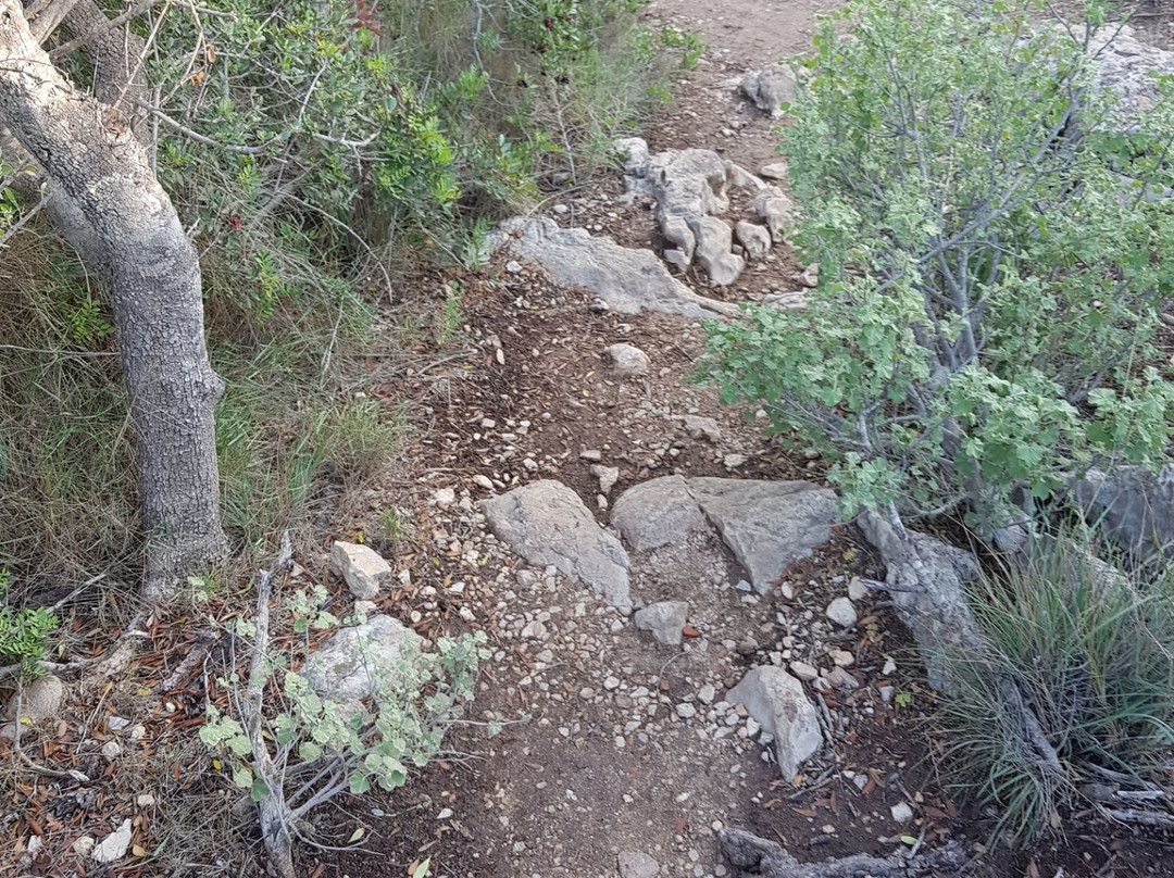 Parque Arqueologico Puig de Sa Morisca-圣庞沙必去景点