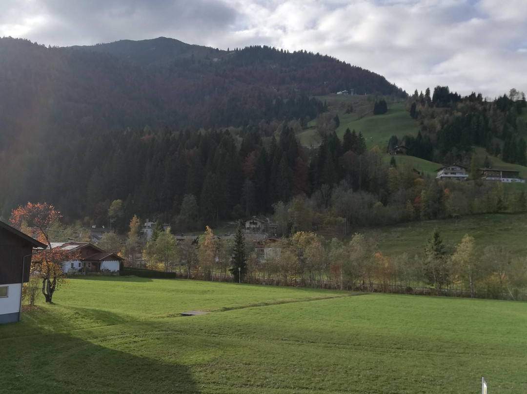 Hotel Elisabeth主图