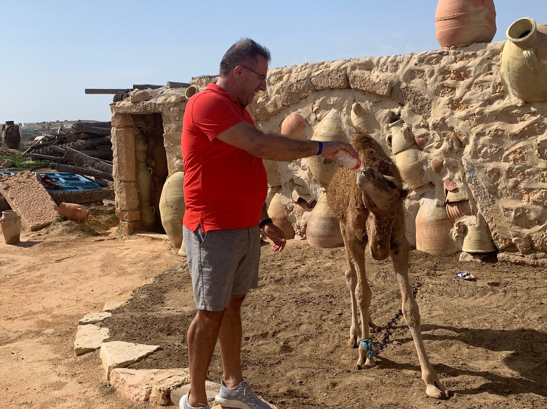 Cave of Ali Berbere-Guellala必去景点