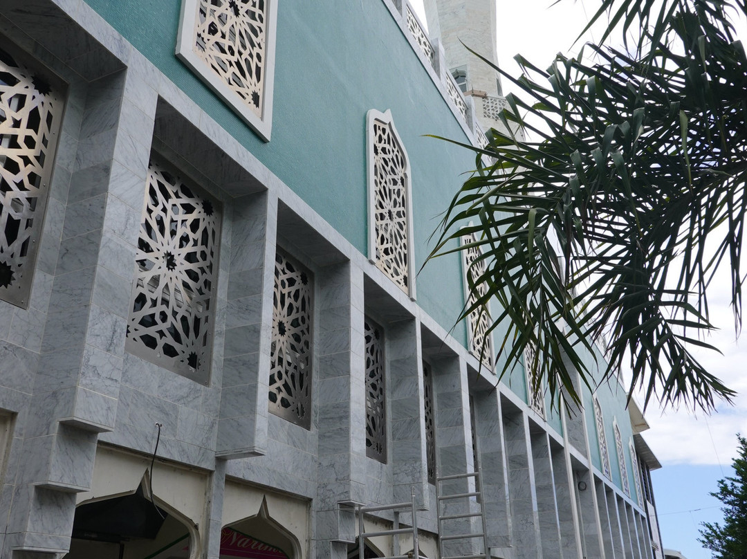 Grande Mosquée de Saint-Denis景点图片