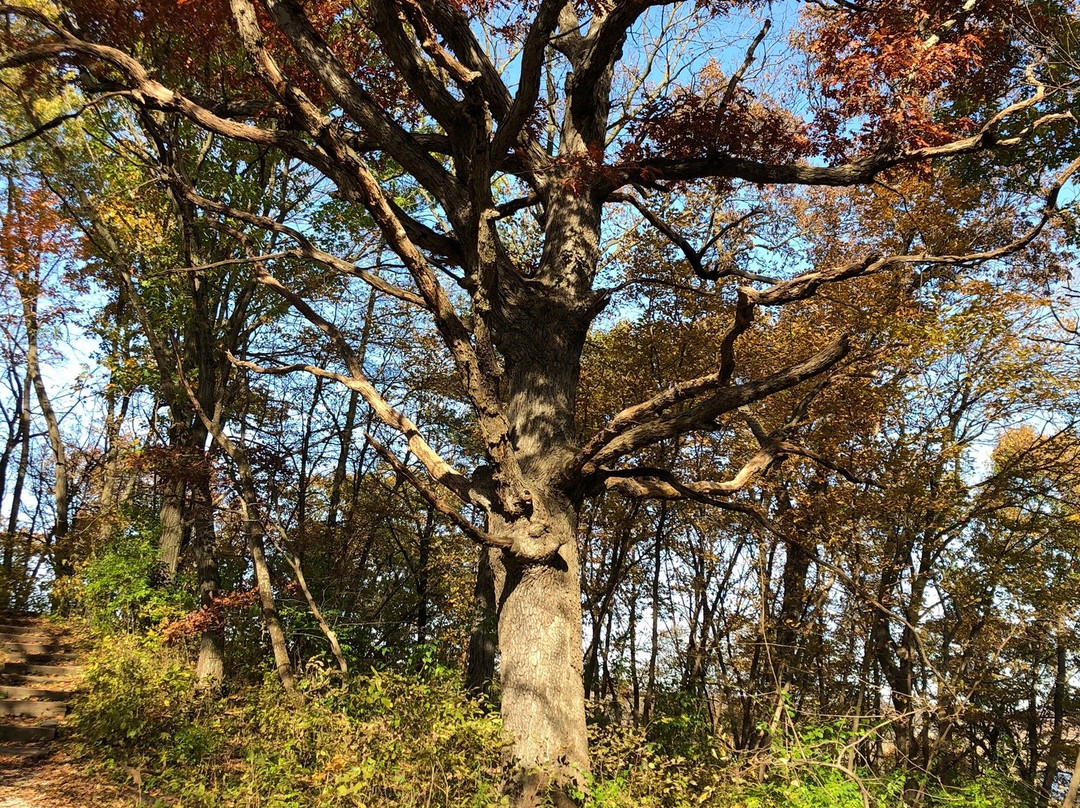 Ledges State Park景点图片