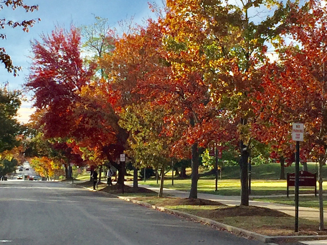 Wampler House Boutique Hotel主图