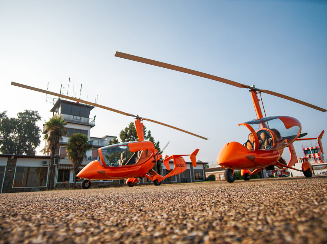 Falcon View Tours-科尔多瓦必去景点