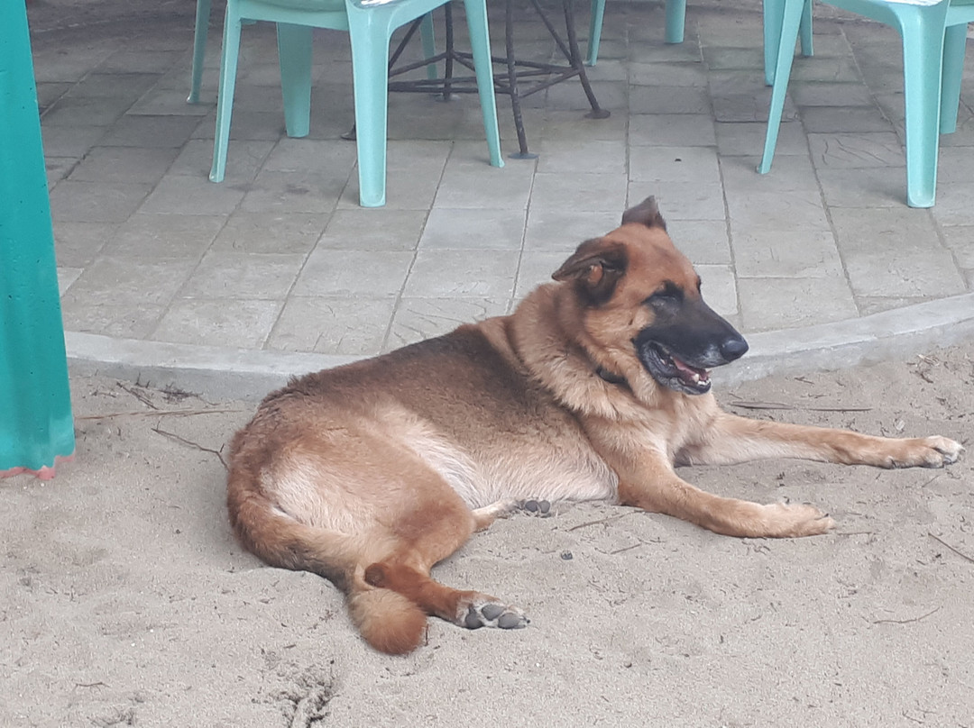 Takatuka Beach Resort主图