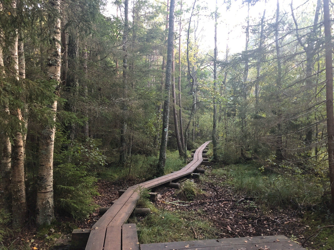 Majakivi-Pikanomme Trail-Virve必去景点