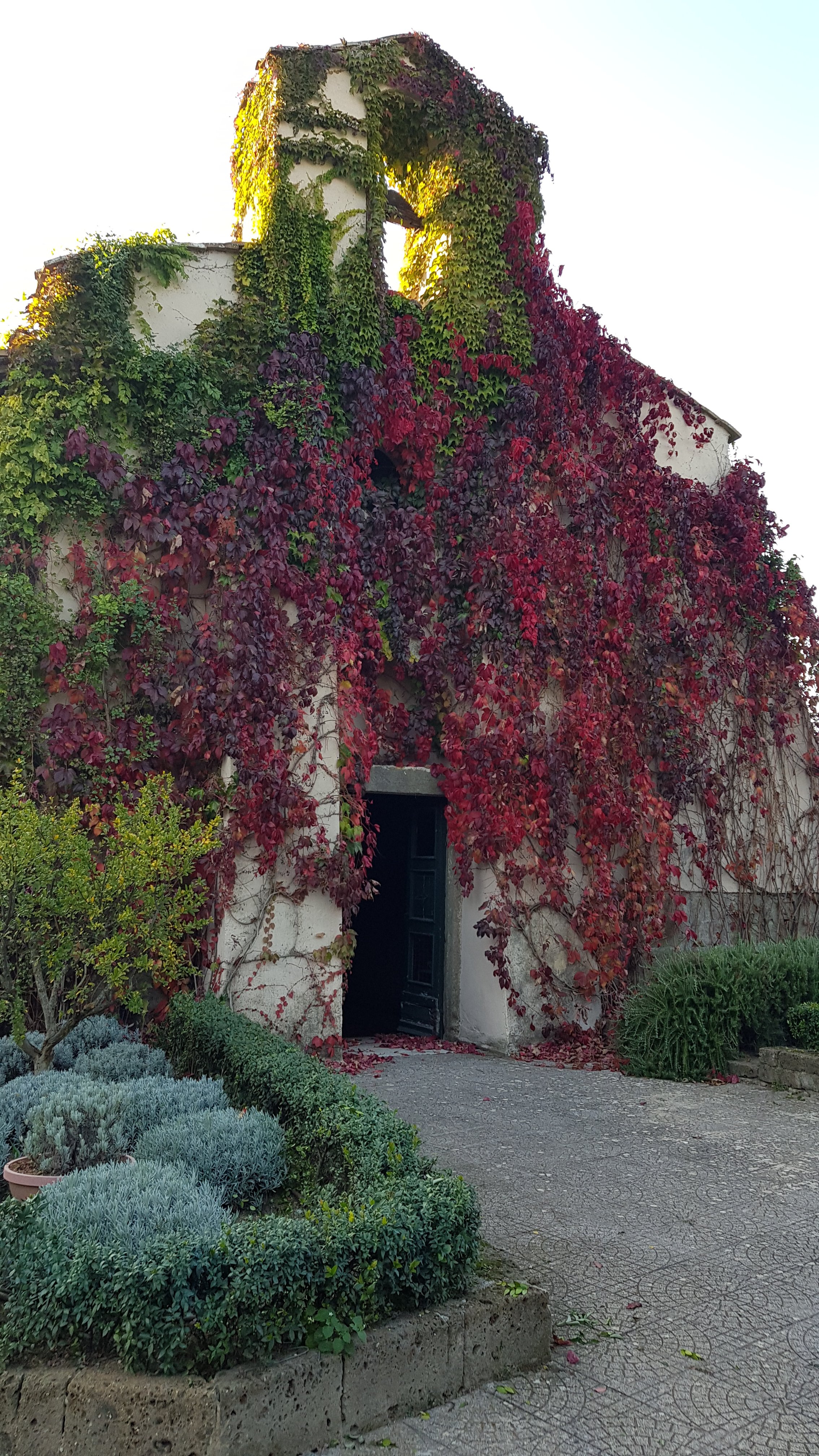 Commenda Ordine Di Malta-浴室