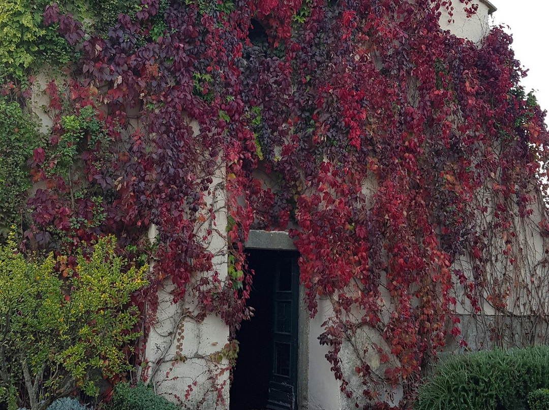 Commenda Ordine Di Malta主图