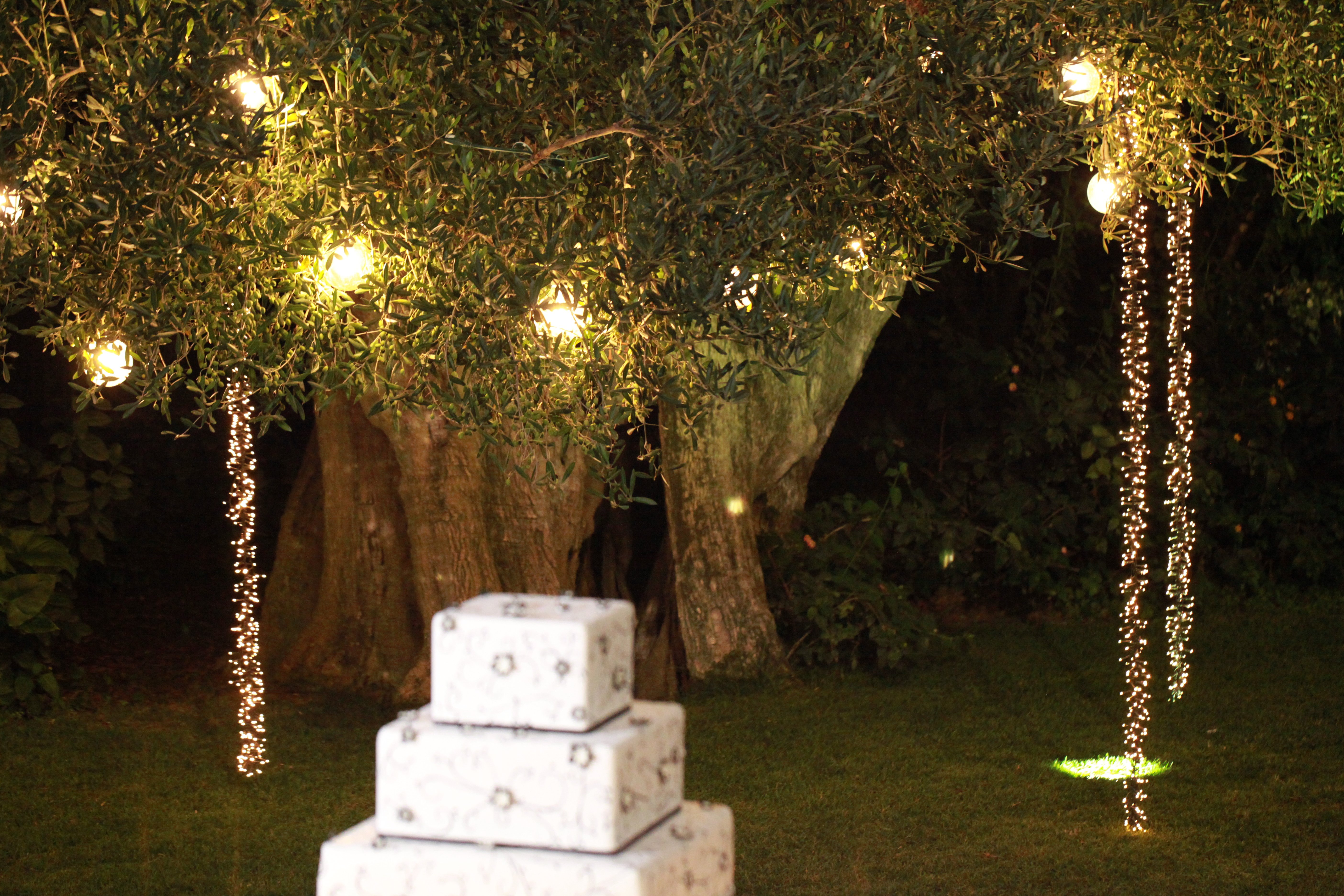 Masseria Montalbano-餐饮