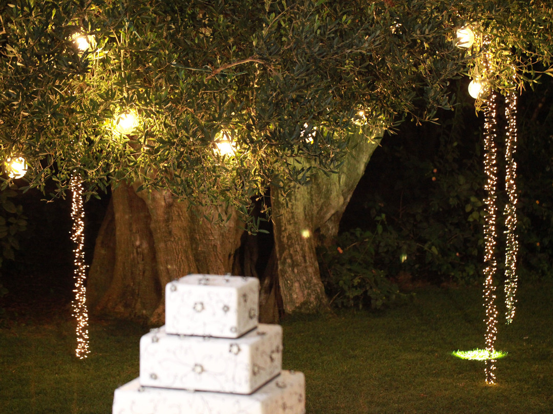 Masseria Montalbano主图