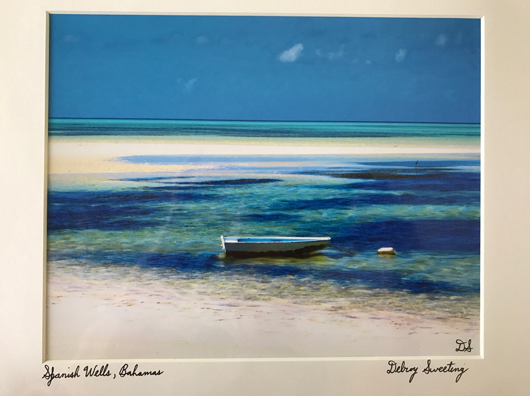 Spanish Wells旅游景点-Ponderosa Shell & Gift Shop