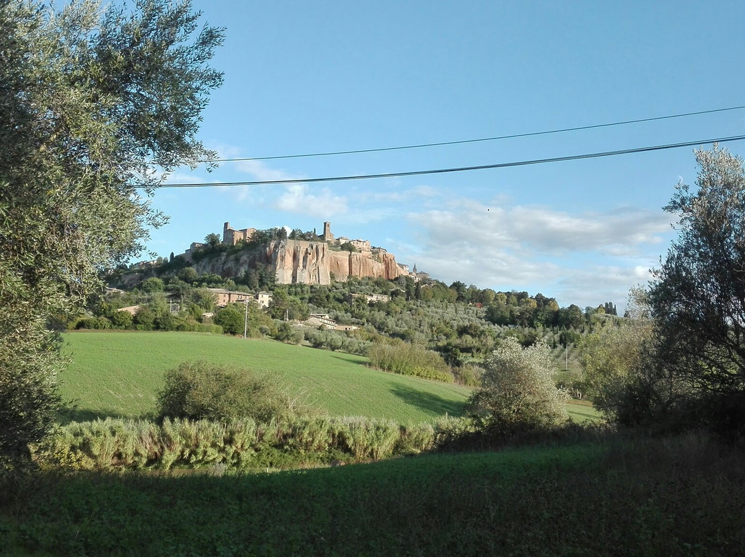 B&B il Terrazzo主图