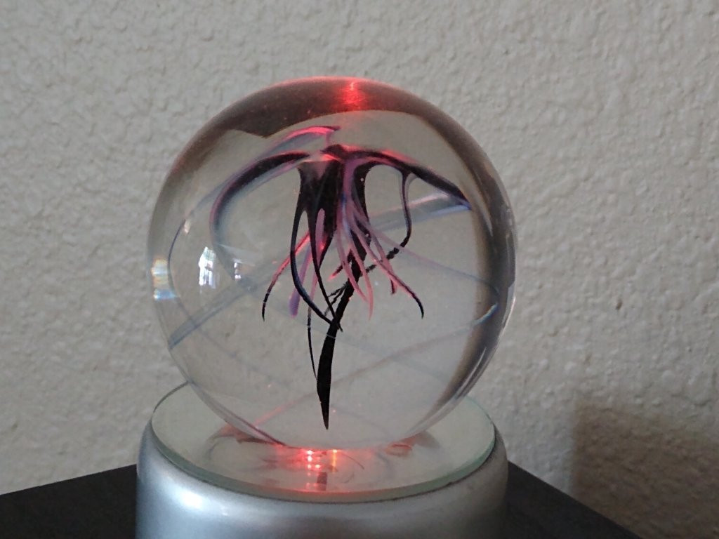 Riley Art Glass Studio景点图片