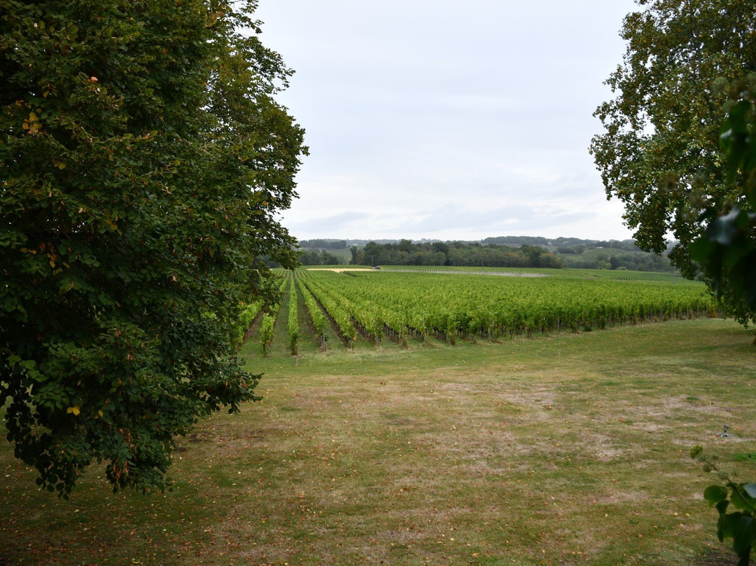 Château Fombrauge主图