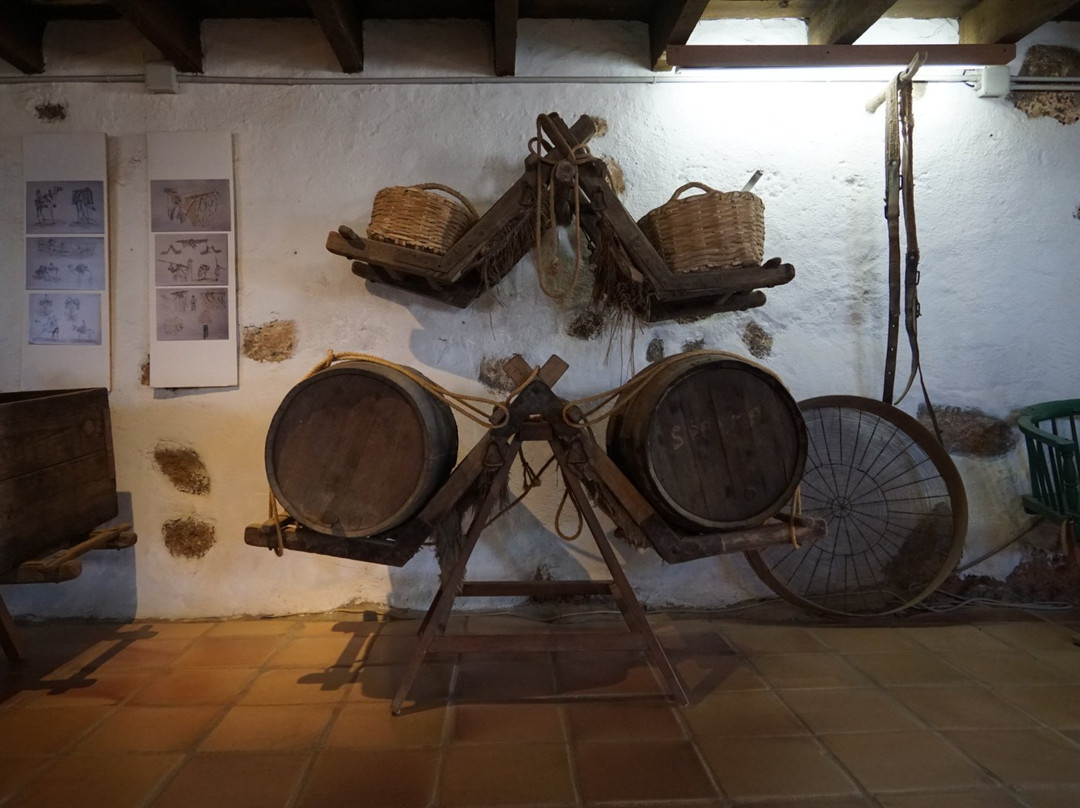 Museo Agricola el Patio景点图片