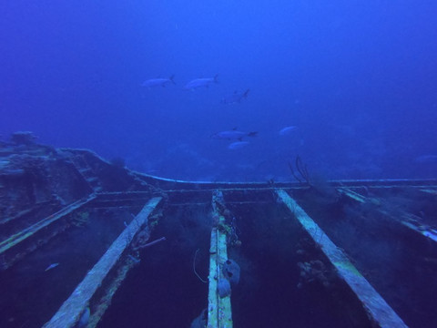 Superior Producer-库拉索必去景点