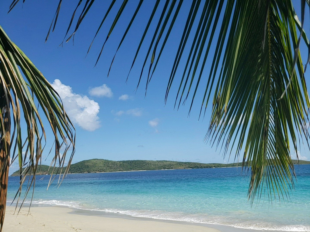 Spectrum Surf School-圣胡安必去景点