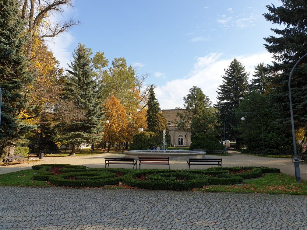 Solankowy Park景点图片