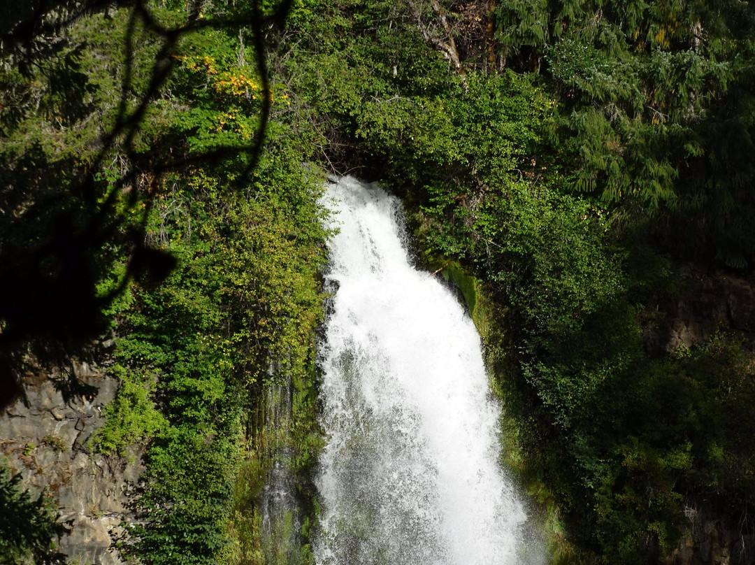 Prospect旅游景点-Mill Creek Falls