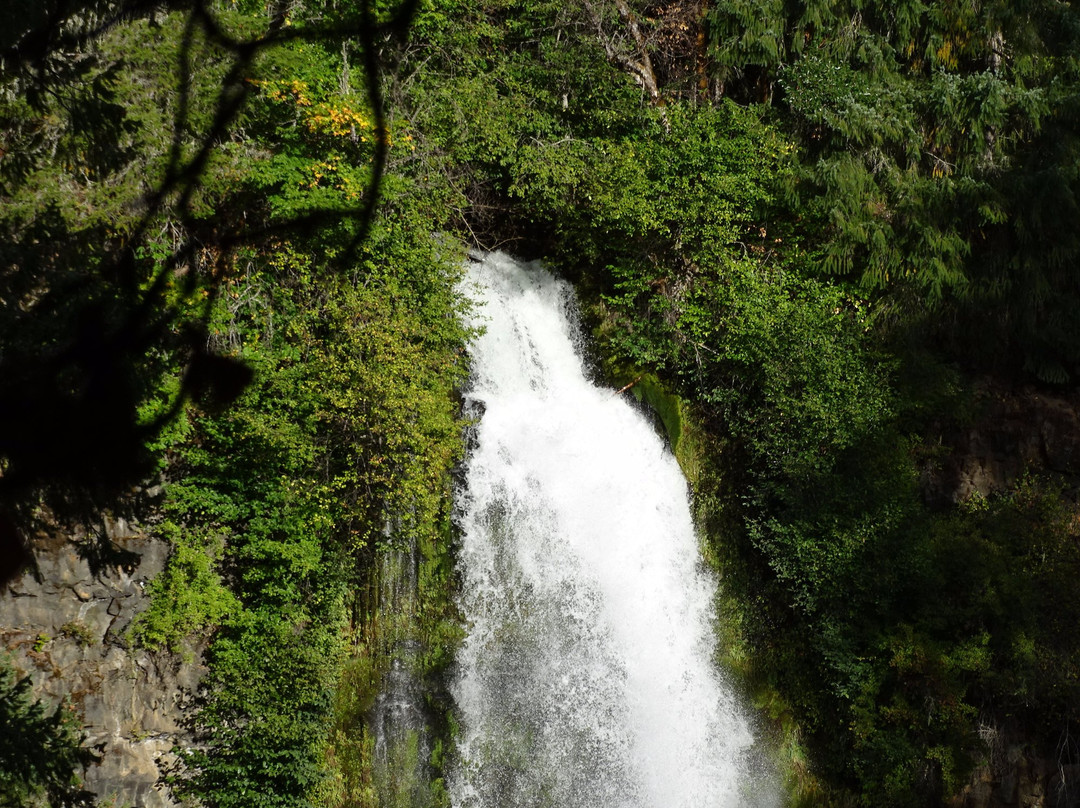 Mill Creek Falls景点图片