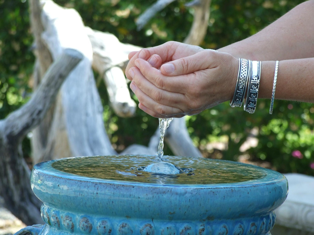 Back In Touch-Surf City必去景点