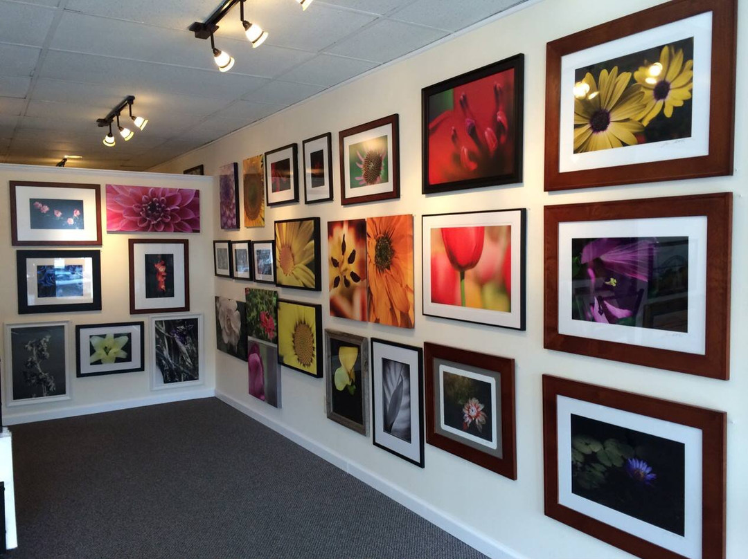 Long Island Photo Gallery