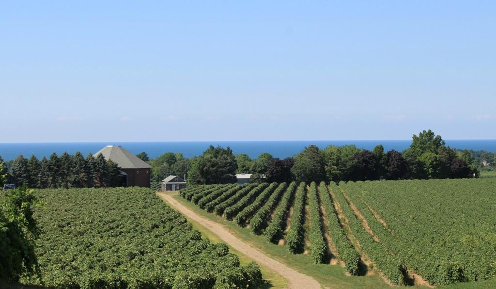 Lake Erie Wine Country景点图片