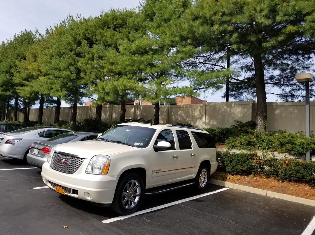 Plainview Taxi and Airport Service-Plainview必去景点