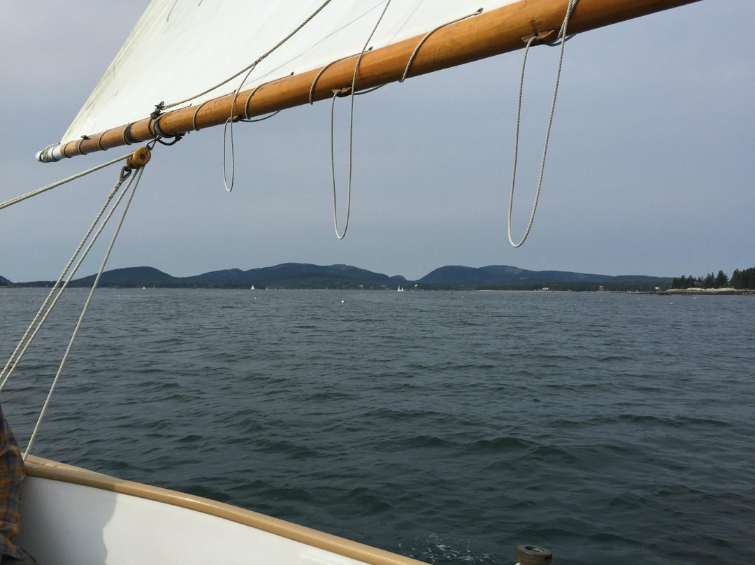 Downeast Sailing Adventures