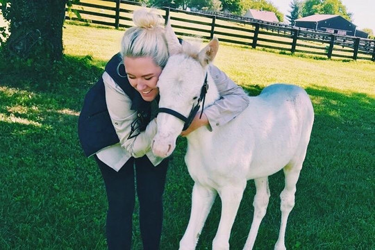 Rarest Thoroughbreds in the World Tour-列克星敦必去景点