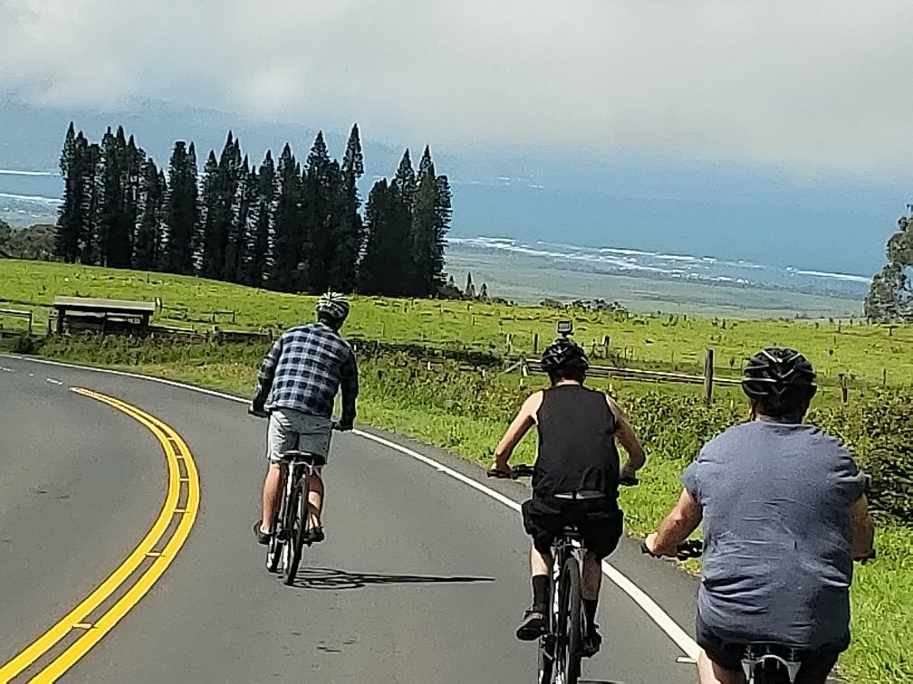Maui's Best Downhill-海库必去景点