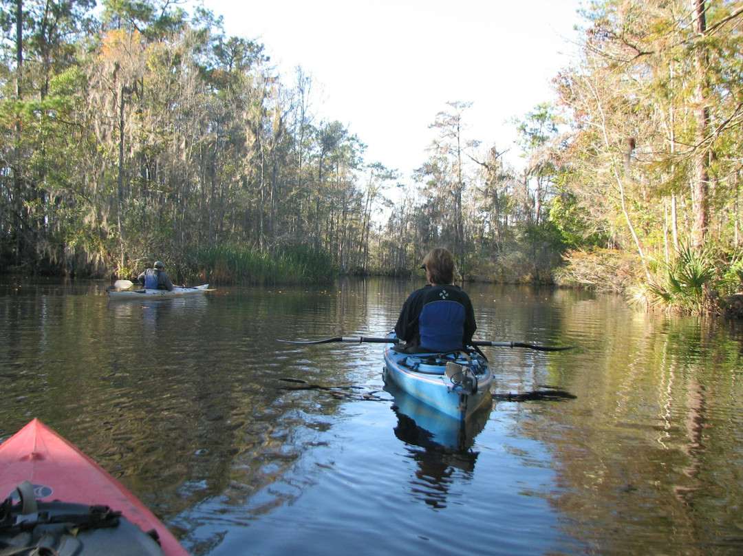 Altamaha Coastal Tours-Darien必去景点