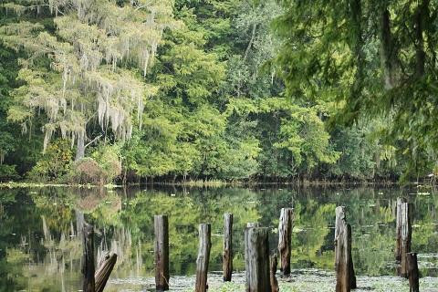 The Florida International Teaching Zoo-Bushnell必去景点