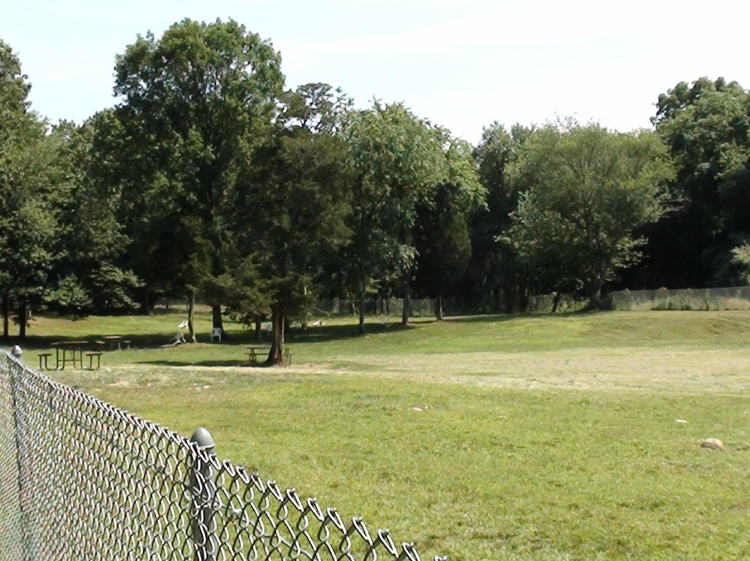 Central Bark Dog Park