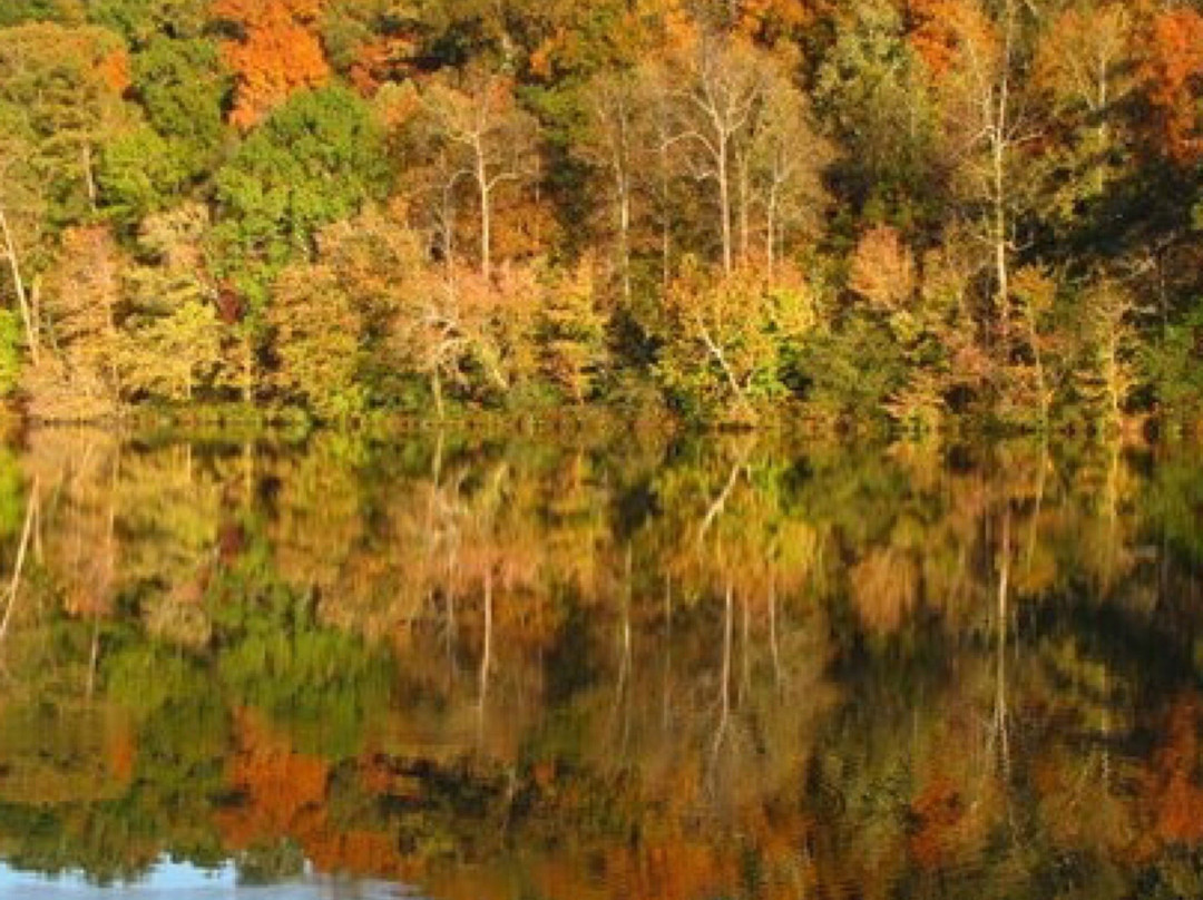 City Of Clay Cosby Lake Park景点图片