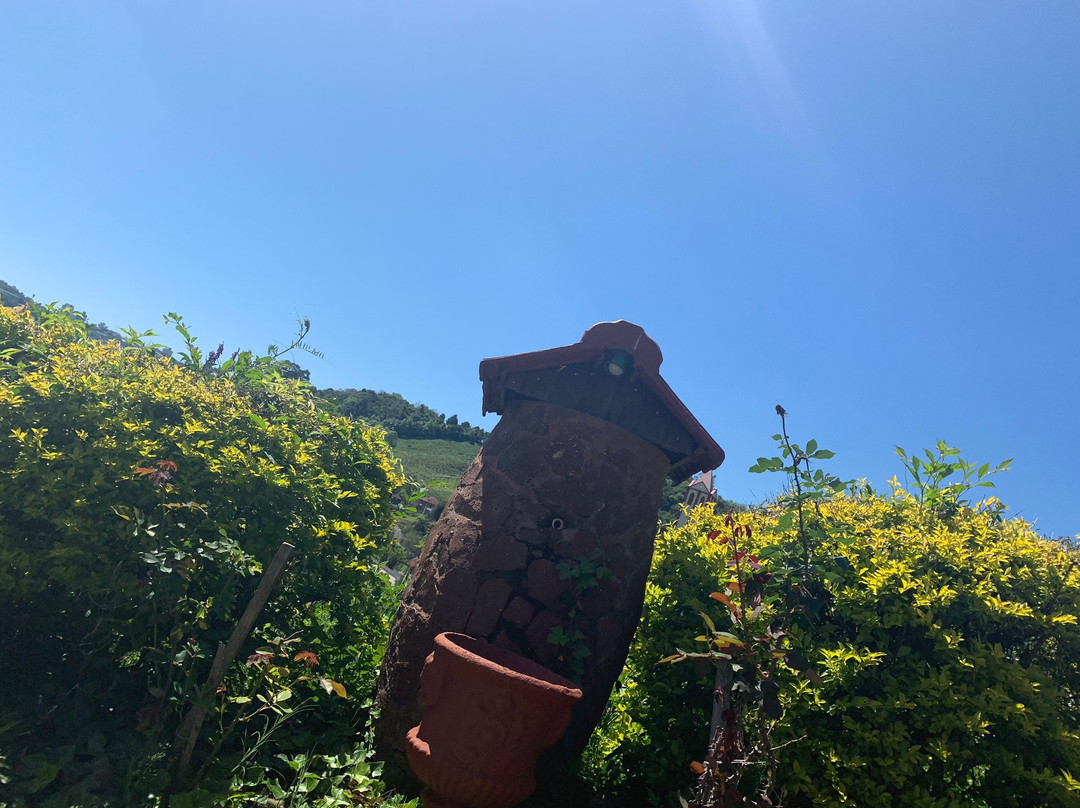 Vinícola Terragnolo-本图贡萨尔维斯必去景点