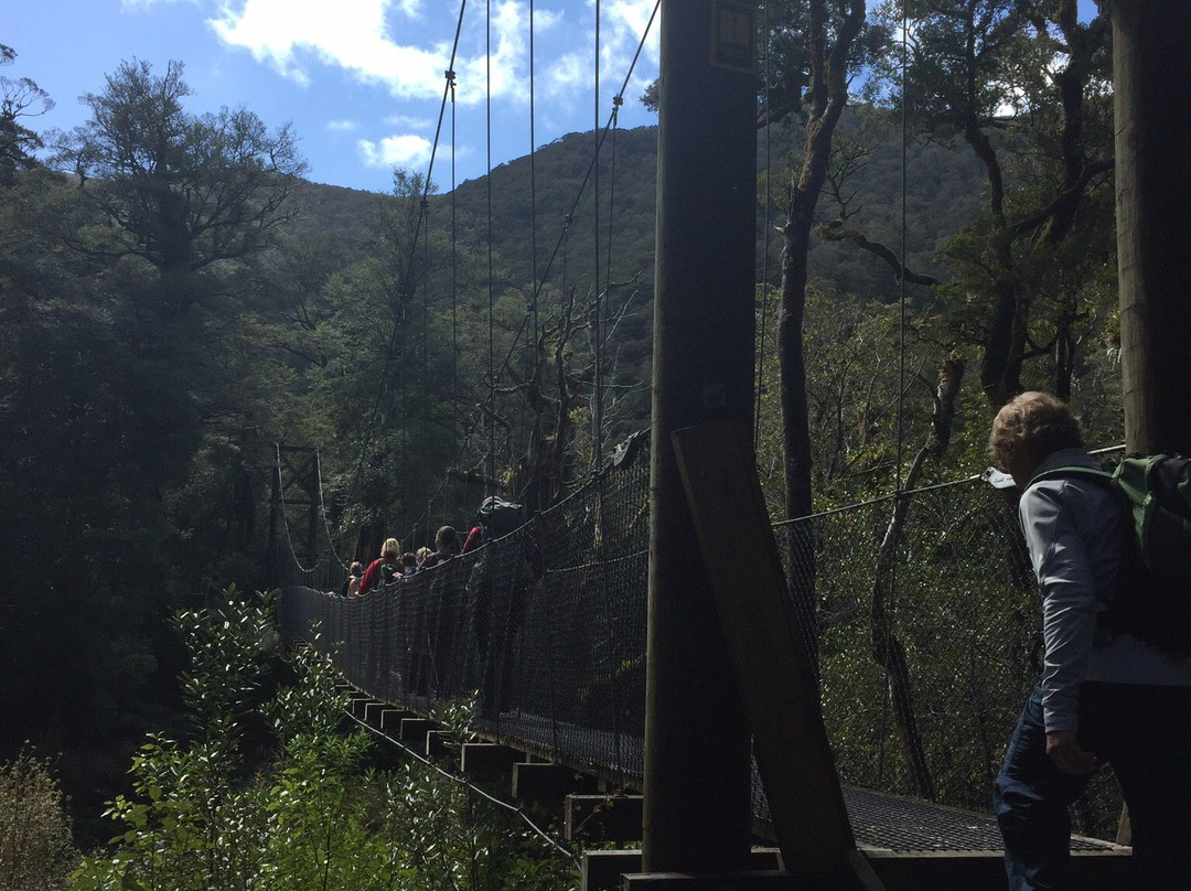 Powell Hut & Mount Holdsworth Track景点图片