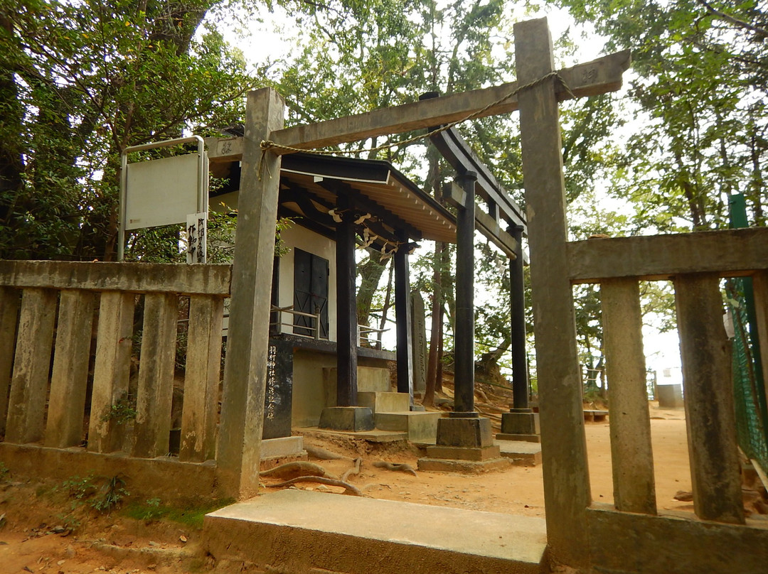 Hamura Shrine-羽村市必去景点