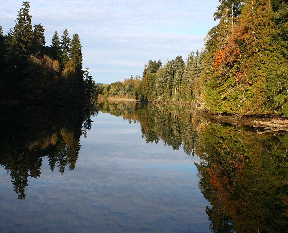 Woodard Bay Natural Resources Conservation Area景点图片