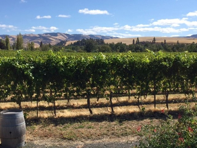 d'Vine Wine Tour-瓦拉瓦拉必去景点