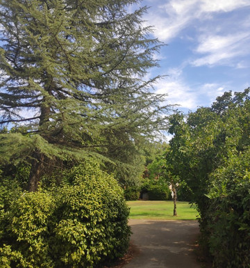 Al-Rom Tourism-El Rom必去景点