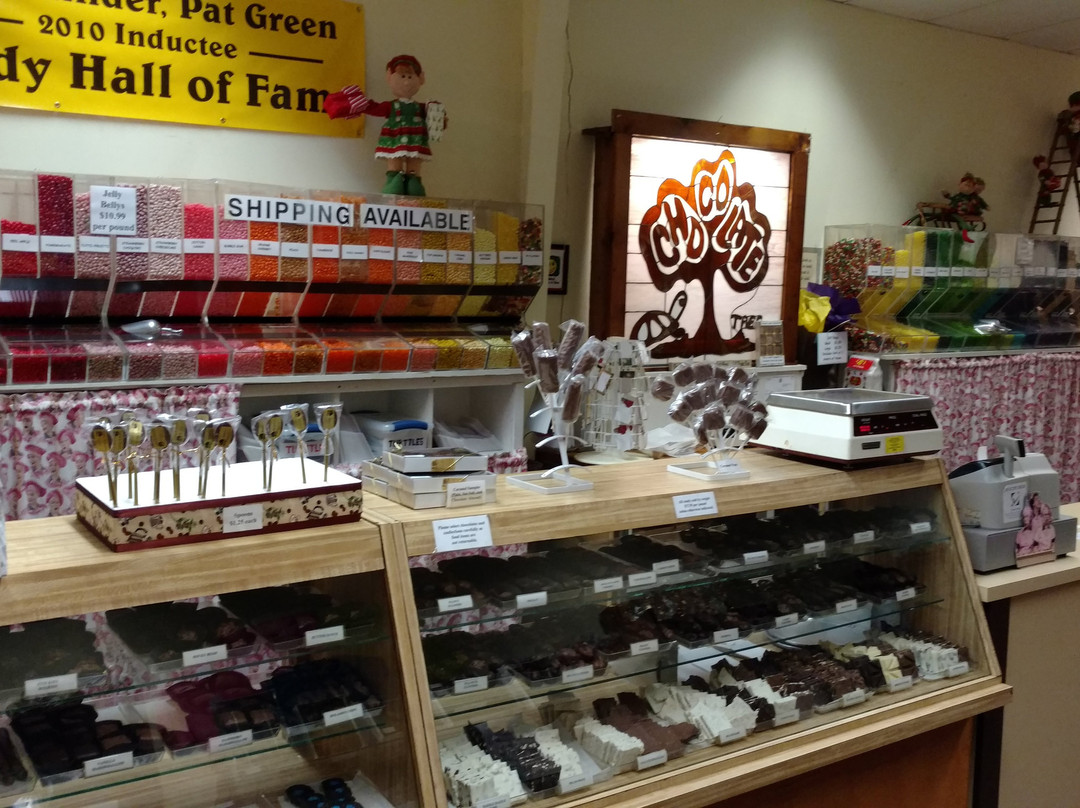 The Chocolate Tree-博福特必去景点