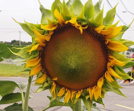 波士顿里维尔凯艺酒店主图