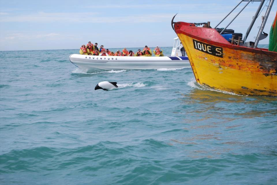 Toninas Adventure-Puerto Rawson必去景点