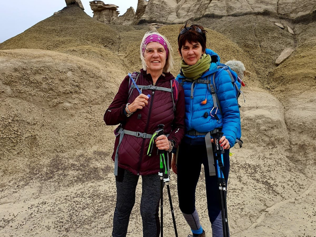 Bisti/De-Na-Zin Wilderness-Bloomfield必去景点