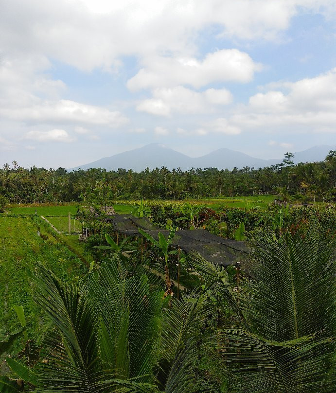 Cau Factory & Farm-达巴南必去景点