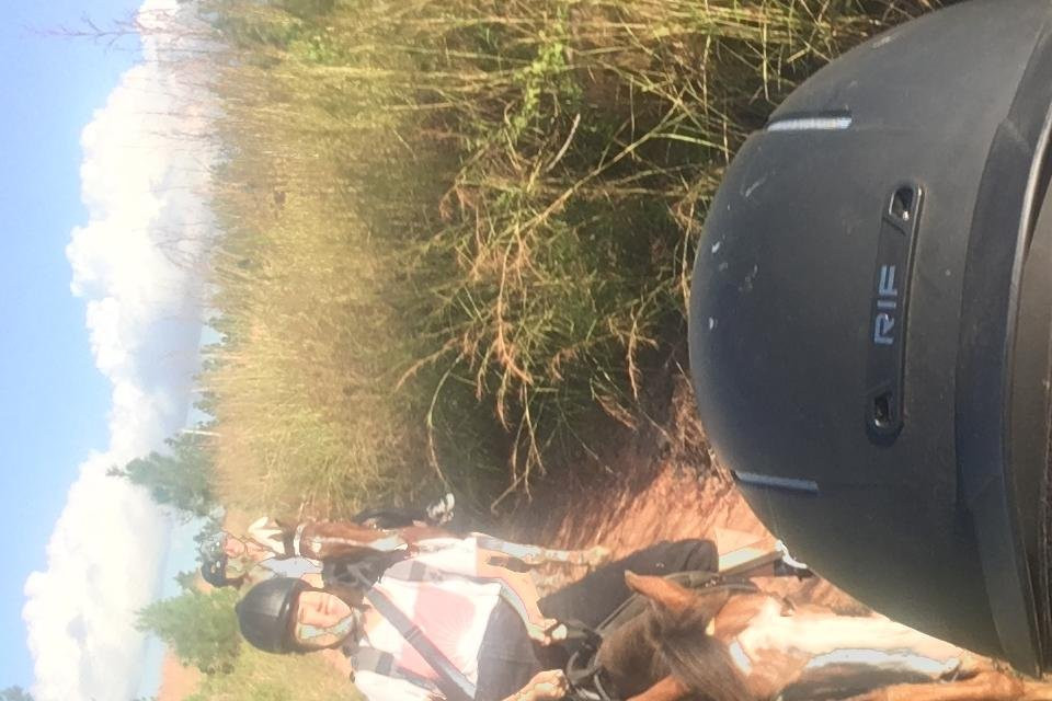 Fiji Horse Treks with Total Wellness Fiji-纳迪市必去景点