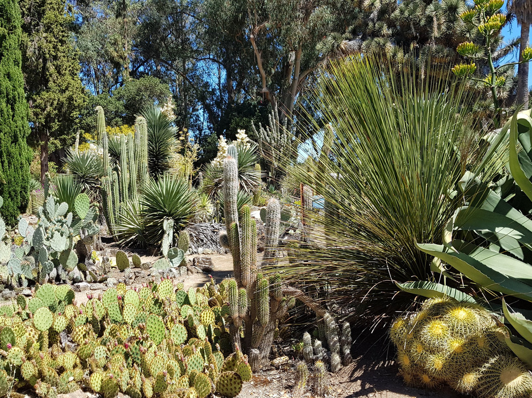 Arizona Garden景点图片