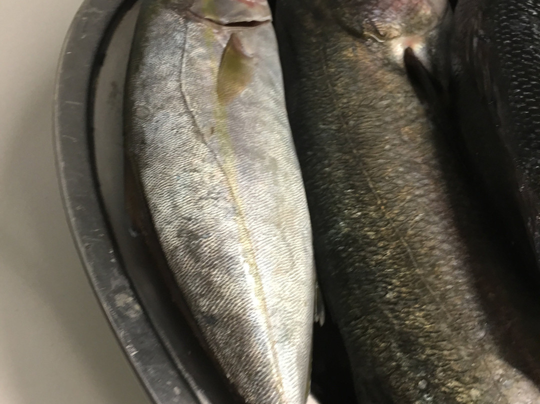 Residenza Al Pesce d'Oro主图