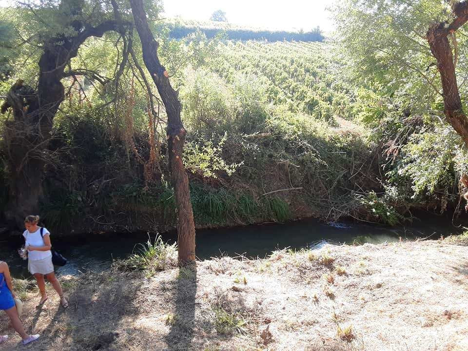 The Wine Connoisseurs-帕特雷必去景点