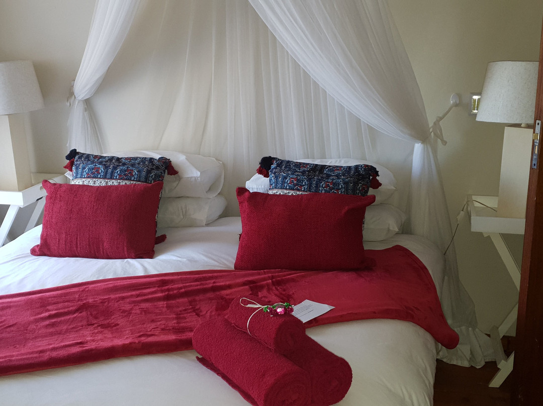 African Dawn Guesthouse主图